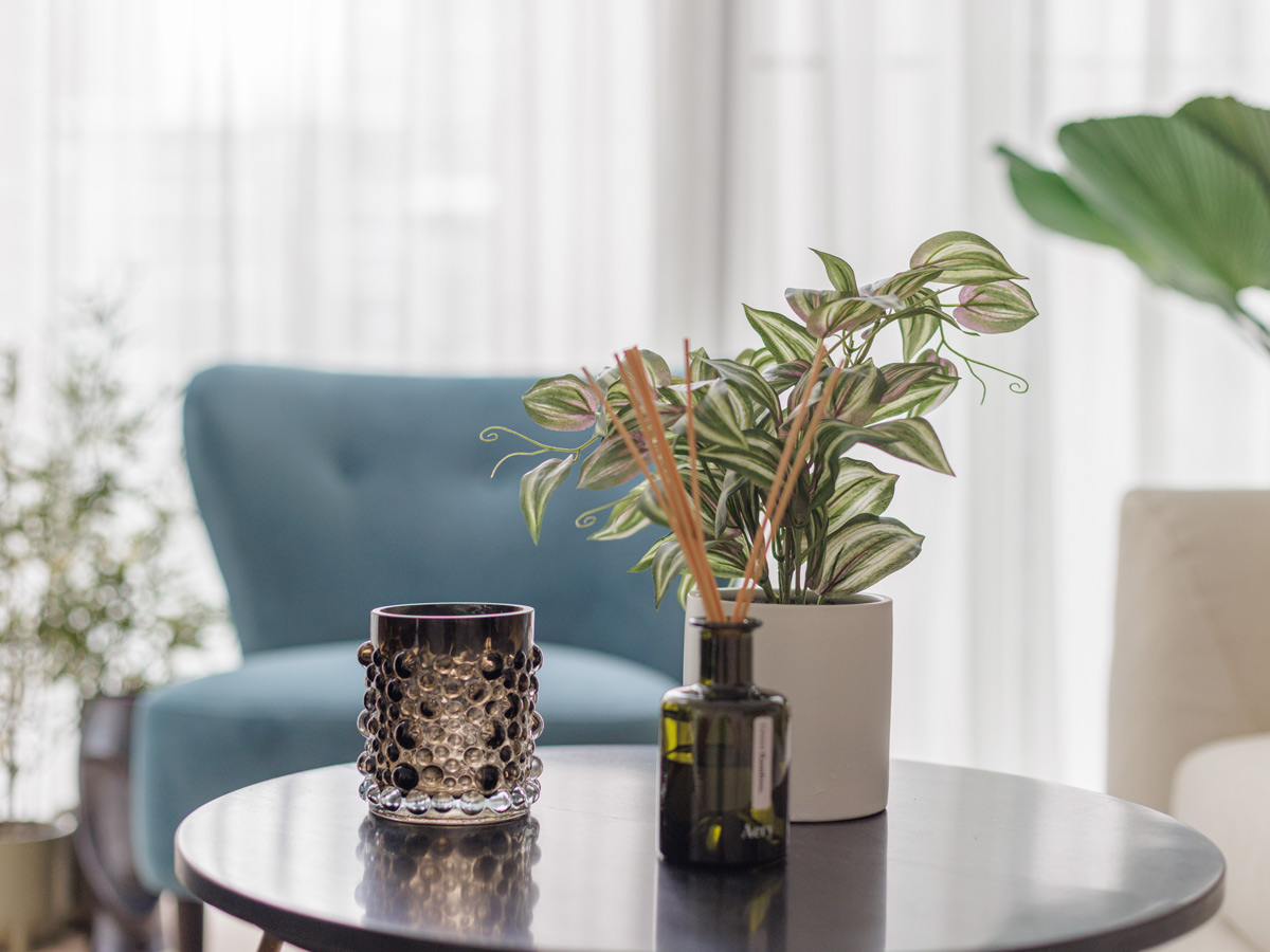 Stylish living room decor with plants, candle, and diffuser of Harcourt Gardens