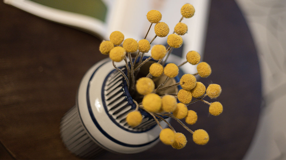 Gallions Place, Yellow billy balls in a blue and white striped vase